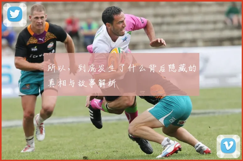 所以，到底发生了什么背后隐藏的真相与故事解析