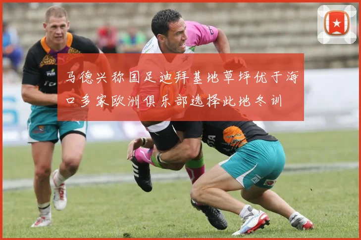 马德兴称国足迪拜基地草坪优于海口多家欧洲俱乐部选择此地冬训